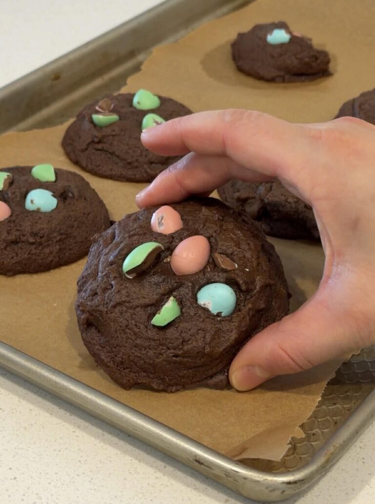 Biscuits double chocolat
