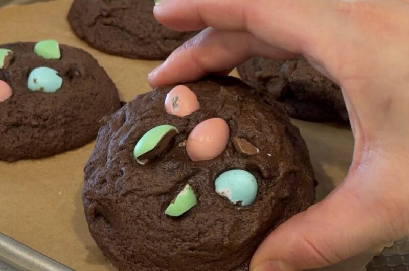 Biscuits double chocolat